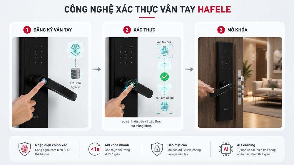 qui trình xác thực vân tay của khóa vân tay hafele